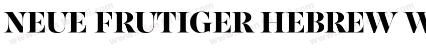 Neue Frutiger Hebrew W05 Heavy字体转换